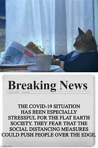 Image result for Cat Newspaper Meme