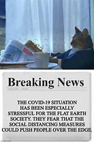Image result for Cat with Newspaper Meme