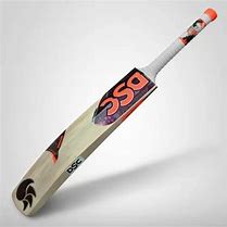 Image result for DSC Intense Cricket Bat