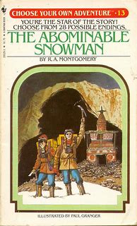 Image result for Choose Your Own Adventure Book Covers