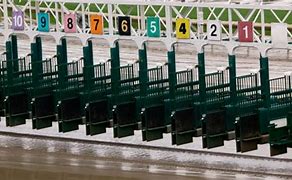 Image result for Starting Gate Graphics