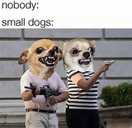 Image result for Random Memes