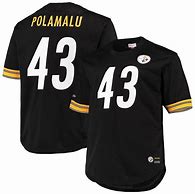 Image result for Pittsburgh Steelers Troy Polamalu