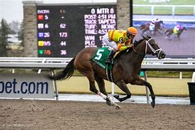 Image result for Alberta Thoroughbred Racing