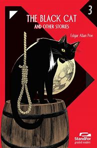 Image result for The Black Cat Short Story