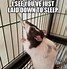 Image result for Dog Cat Jokes