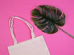 Image result for Organic Cotton Grocery Bags