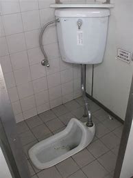 Image result for Squat Toilet