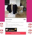 Image result for Letgo App Free Download to PC