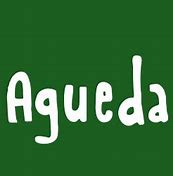 Image result for agudeaa