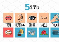 Image result for Our 5 Senses Templaes Clip Art