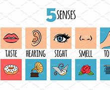 Image result for Five Senses Clip Art