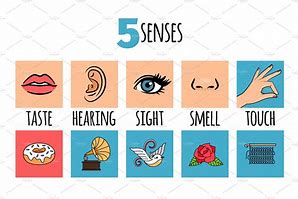 Image result for Five Senses Counting