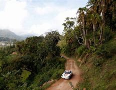 Image result for East African Safari