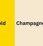 Image result for Champagne vs Gold