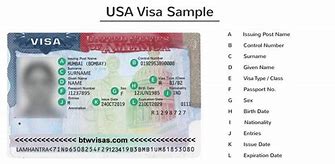 Image result for Us Student Visa