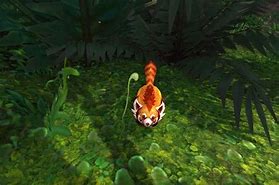 Image result for WoW Panda Pet
