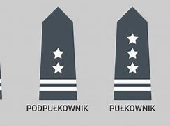 Image result for Stopnie Wojskowe W Polsce