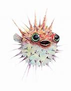 Image result for Blowfish Art