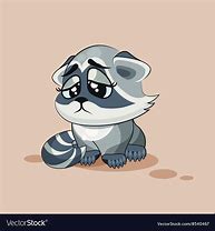 Image result for Raccoon in a Blanket Sad Meme