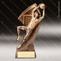 Image result for Soccer Trophies