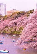 Image result for Cool Places to Visit in Tokyo Japan