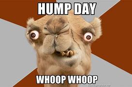 Image result for Hump Day Pun Memes