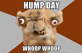 Image result for E Happy Hump Day Meme