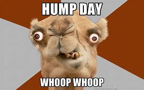 Image result for Nothing Spoils Hump Day Meme