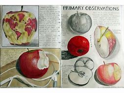 Image result for Natural Forms Apple