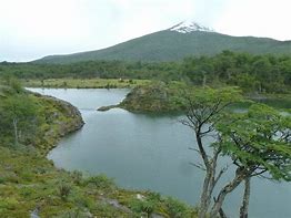 Image result for Green Lagoon Ushuaia