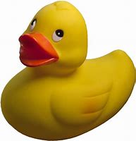Image result for Bat Rubber Duck Duck