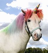 Image result for Real Unicorn Bul