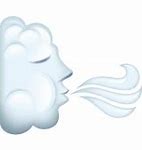 Image result for Wind Face Emoji