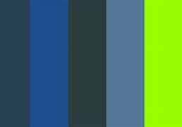 Image result for Nexus Color