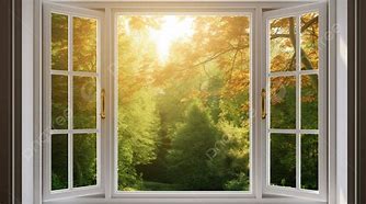 Image result for Spruce Tree Swaying Outside Window