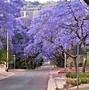 Image result for Best Places to Live in South Africa