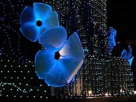 Image result for Fiber Optic Flower Light