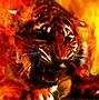 Image result for Cool Kindle Fire Wallpaper