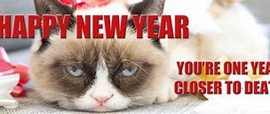 Image result for Grumpy Cat New Year