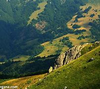 Image result for Crni Vrh Planina Slike