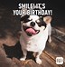 Image result for Happy Birthday Ugly Memes