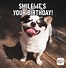 Image result for Smart Birthday Meme