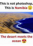 Image result for Desert Brain Meme