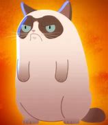 Image result for Anime Grumpy Cat
