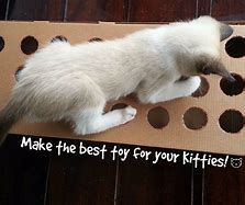 Image result for DIY Cardboard Cat Toys