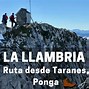 Image result for llambria