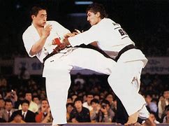 Image result for Karate Kyokushin Best Fighter
