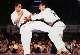 Image result for Kyokushinkai Karate