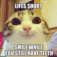 Image result for Cat Smiling with Teeth Meme